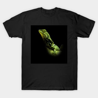 Frilled-neck lizard T-Shirt